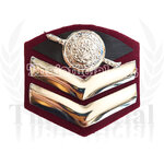 สิบตำรวจโท สตท