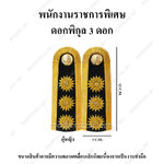 ผู้หญิง