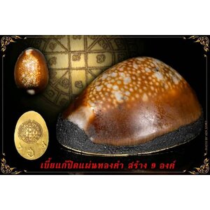 เบี้ยแก้-เบี้ยกัน