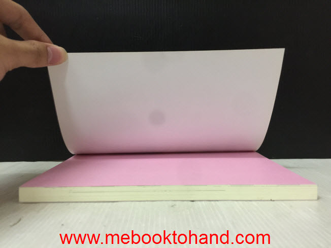 Love Liar รีเทิร์นรักหลอกกั๊กหัวใจยัยว้าวุ่น / แสตมป์เบอรี่