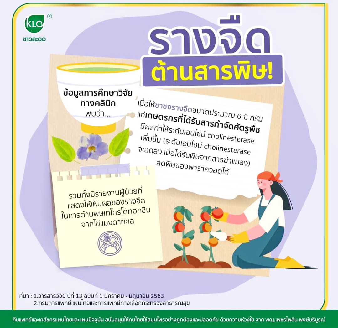 รางจืดชนิดเม็ด ใช้ได้ทั้งคนและสัตว์