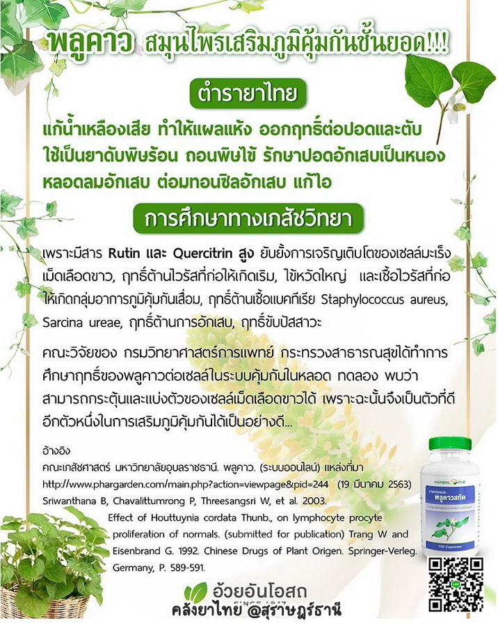 พลูคาวสกัดแคปซูล