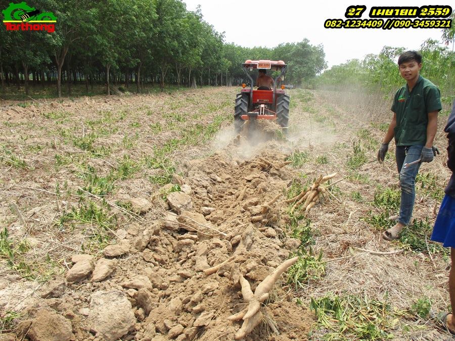 ผานขุดมัน แบบ จานขุด