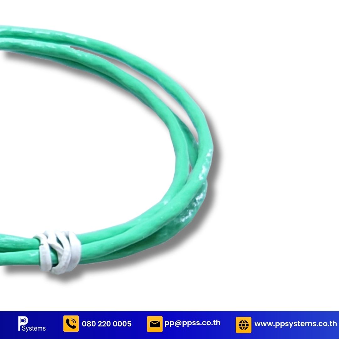 PhoenixTM Short Needle Straight Thermocouple l สายวัดอุณหภูมิชนิดเข็ม สำหรับวัดอาหาร (กุ้ง) ความยาวสาย 60 เซนติเมตร