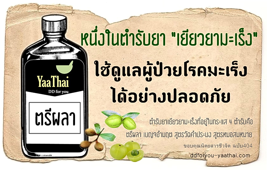 ยาน้ำตรีผลา ยาในตำราแพทย์แผนไทย