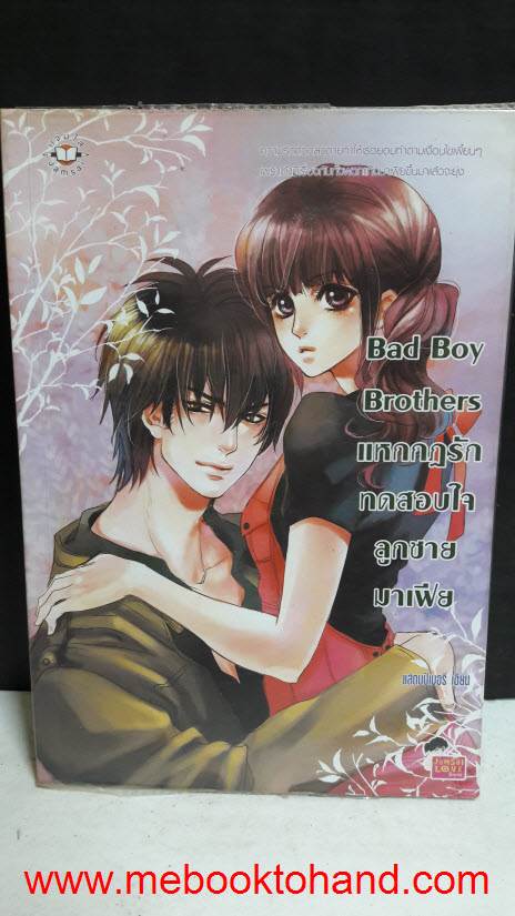 Set หนังสือชุด Bad Boy Brother (4 เล่ม)