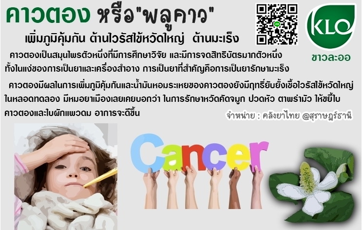 พลูคาวสกัดแคปซูล