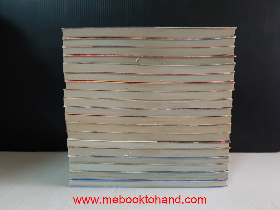 บอดี้การ์ดสาวจอมซ่าส์ 1-19 จบ