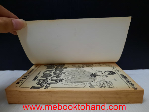 จะไขว่คว้าสู่ดวงดารา เล่มเดียวจบ / Saito Chiho