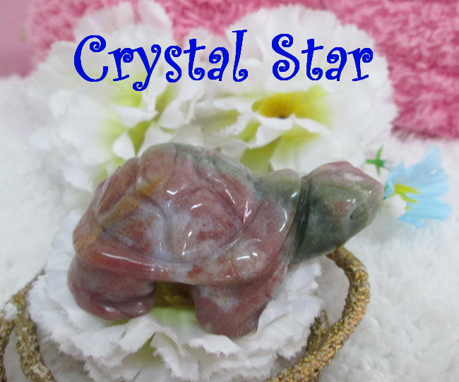 เต่าอาเกต