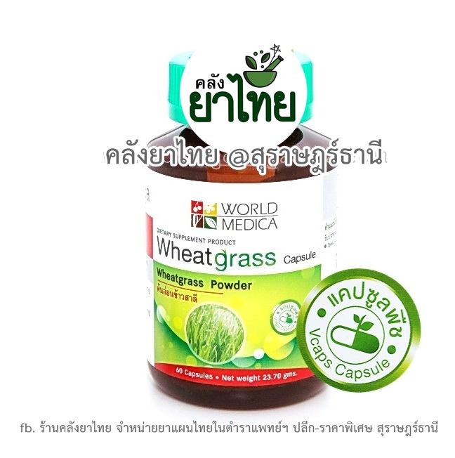 วีทกราสWheat grass
