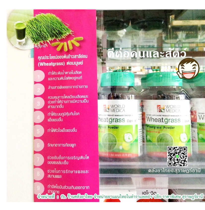 วีทกราสWheatgrass