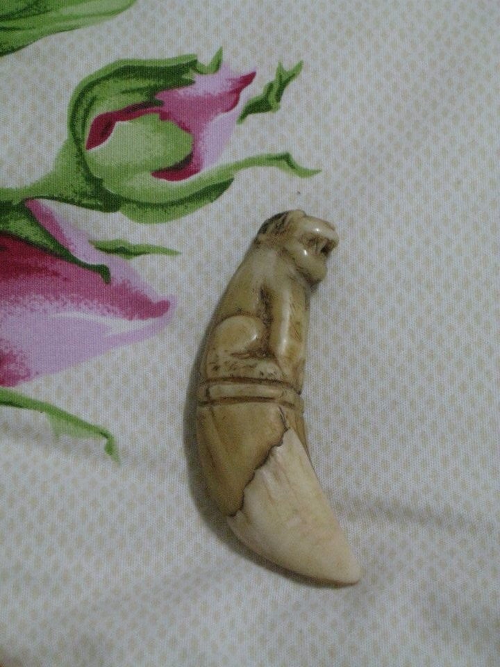 เขี้ยวเสือกลวงแกะเก่า(เครื่องรางพญาเสือ) ถือเป็นของทนสิทธิ์ตามธรรมชาติที่หายากมาก