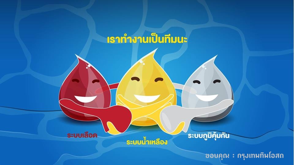 ยาแก้น้ำเหลืองเสีย