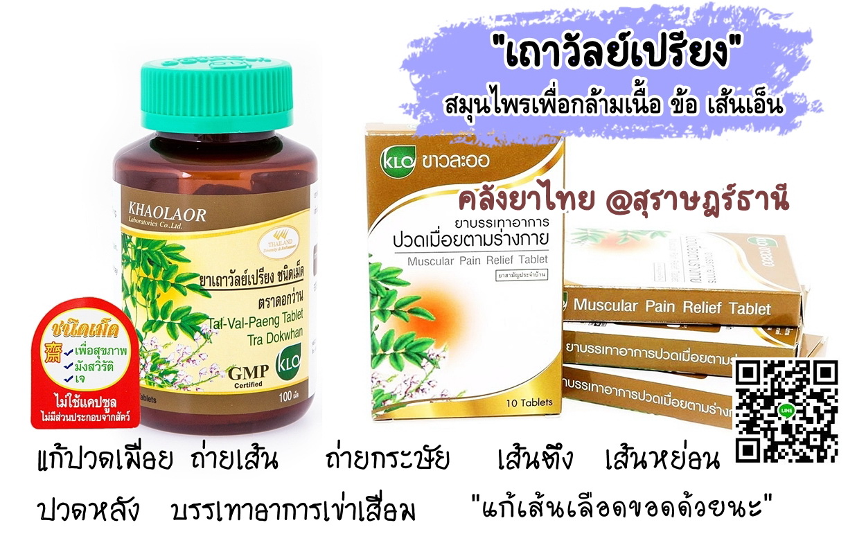 ยาเถาวัลย์เปรียงชนิดเม็ด