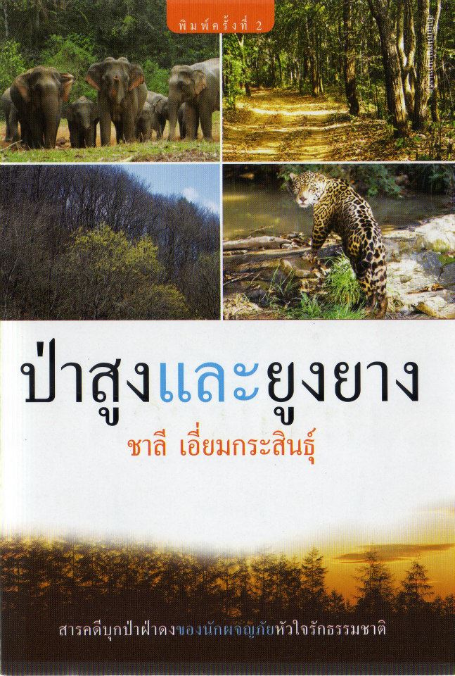 ป่าสูงและยูงยาง
