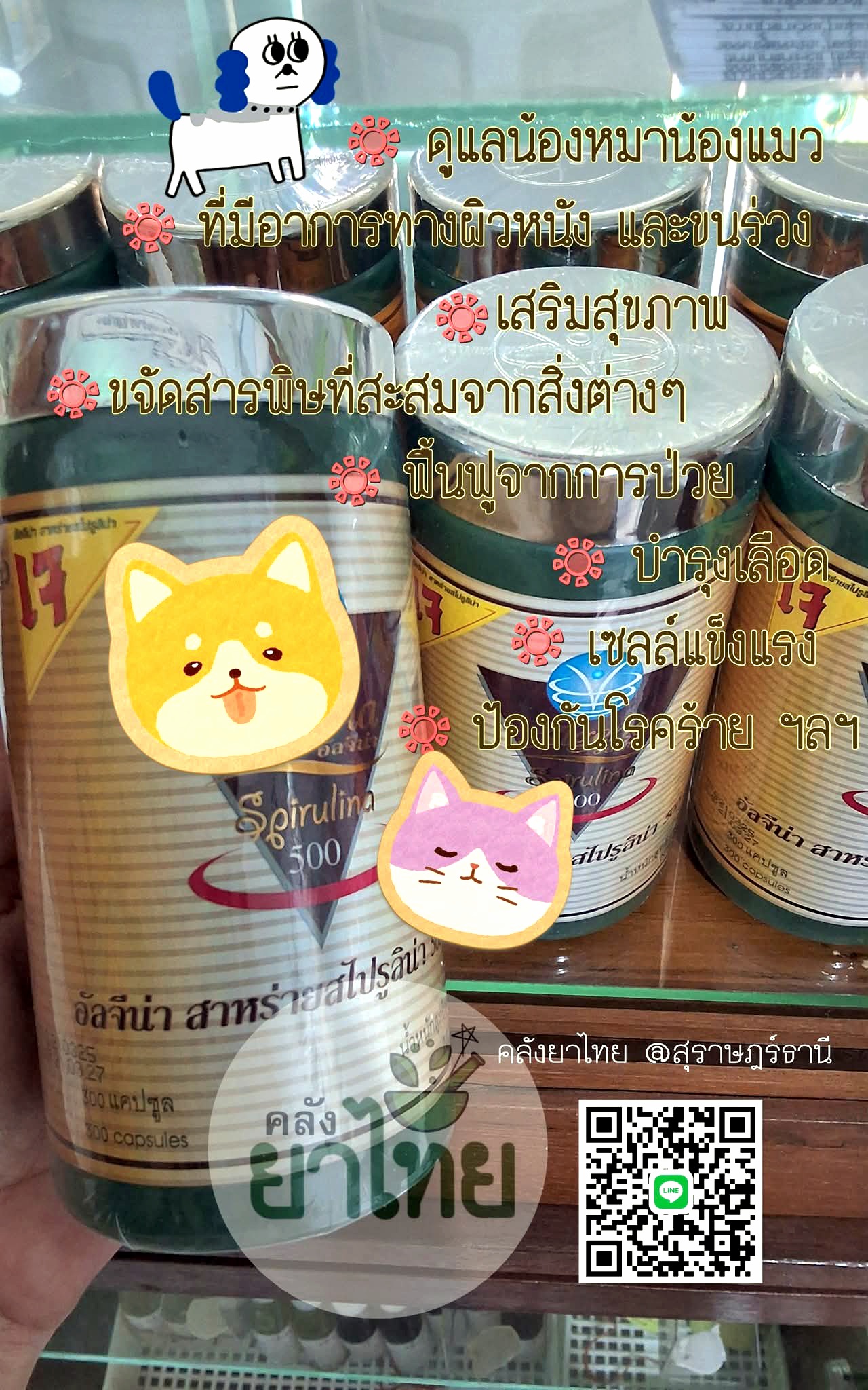 สไปรูลิน่าบริสุทธิ์300แคปซูล เพิ่มภูมิสุนัขและแมว ดูแลอาการทางผิวหนัง ขนร่วง ฟื้นตัวจากป่วย ป้องกันโรคร้าย บำรุงร่างกาย