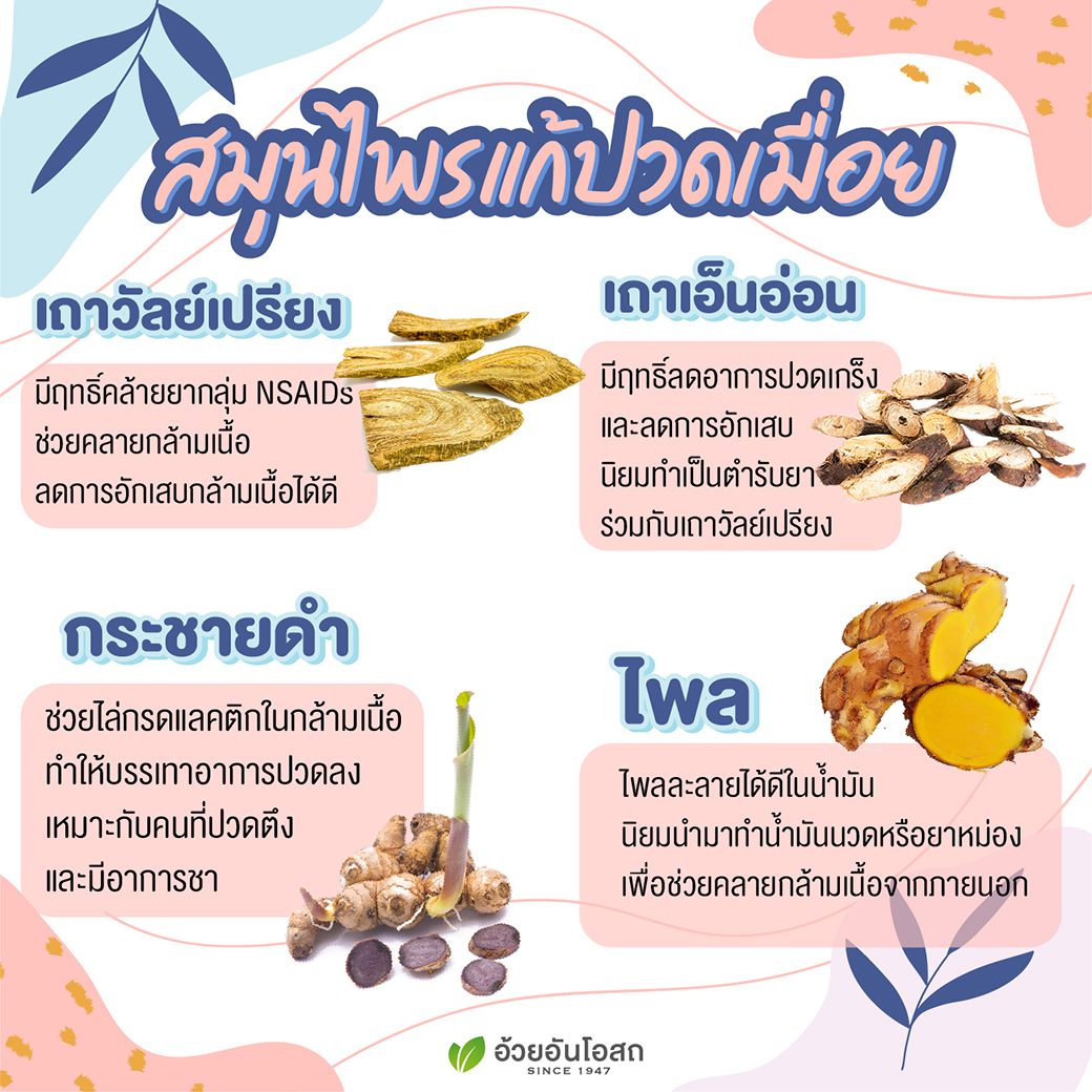 ยาบรรเทาปวดเมื่อย