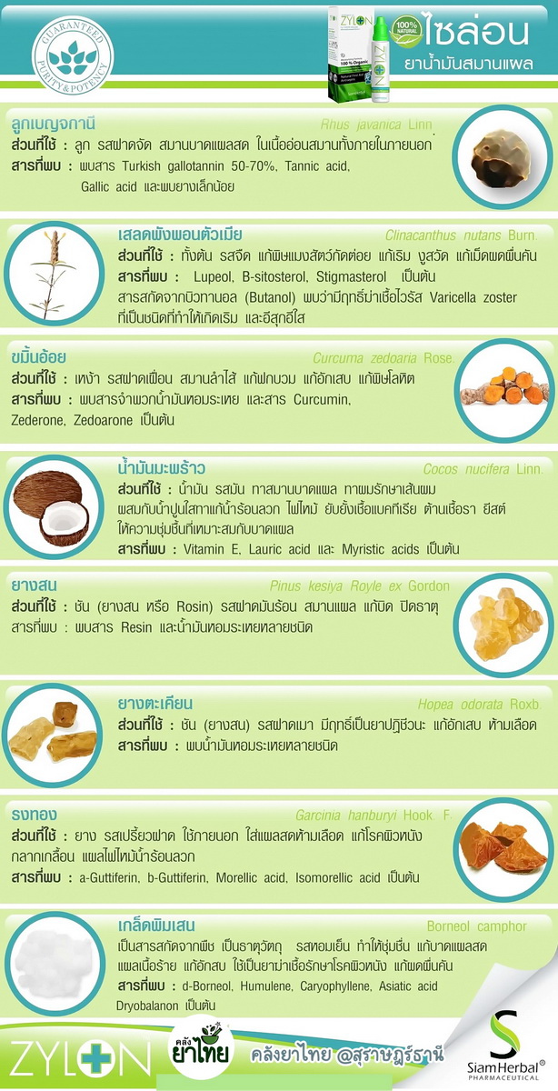 Zylonไซล่อน สมานแผลเร็ว ไม่แสบ