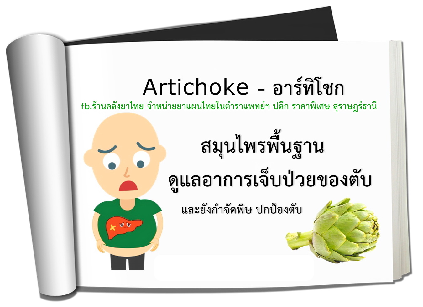 อาร์ทิโชกArtichoke