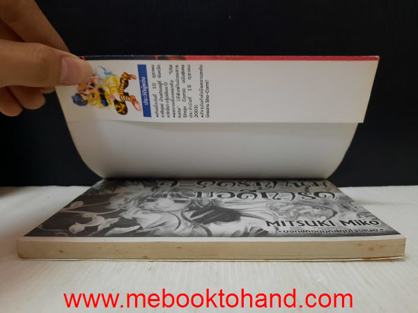 สะดุดรักหนุ่มบอดี้การ์ด เล่มเดียวจบ