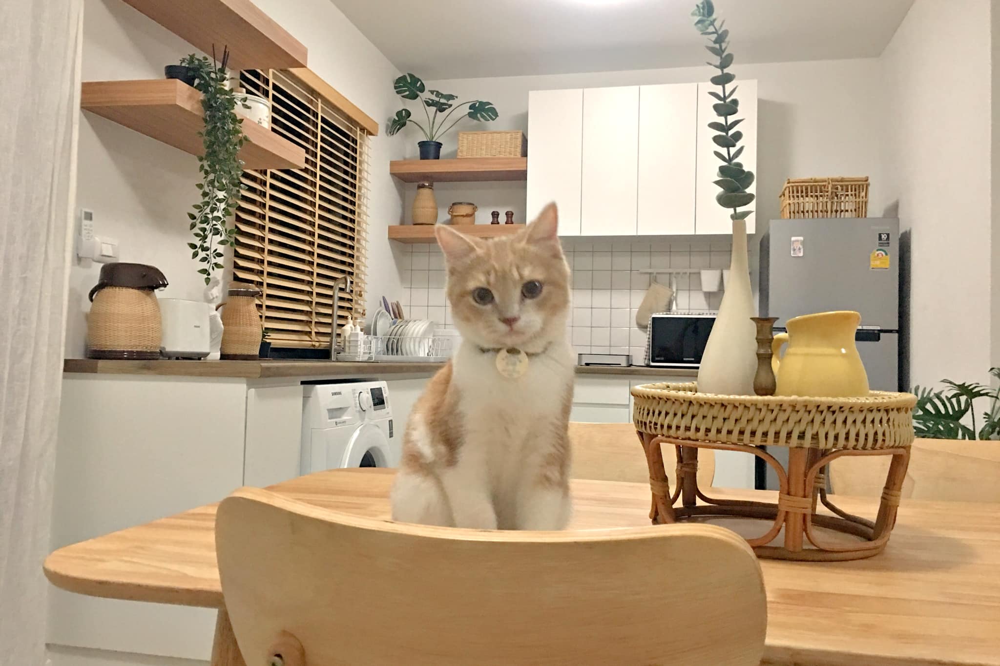 ครัวบิ้วอิน บ้านคุณกชกร หมู่บ้าน Pleno พหลโยธิน-วัชรพล 2 ถนนเพิ่มสิน แขวงคลองถนน 2 ตู้ล่าง+บน 2.4 ตู้ล่าง