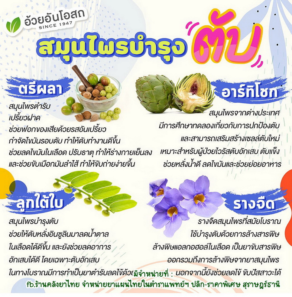 อาร์ทิโชกArtichoke