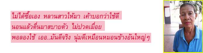 หมอนหลับปุ๋ย