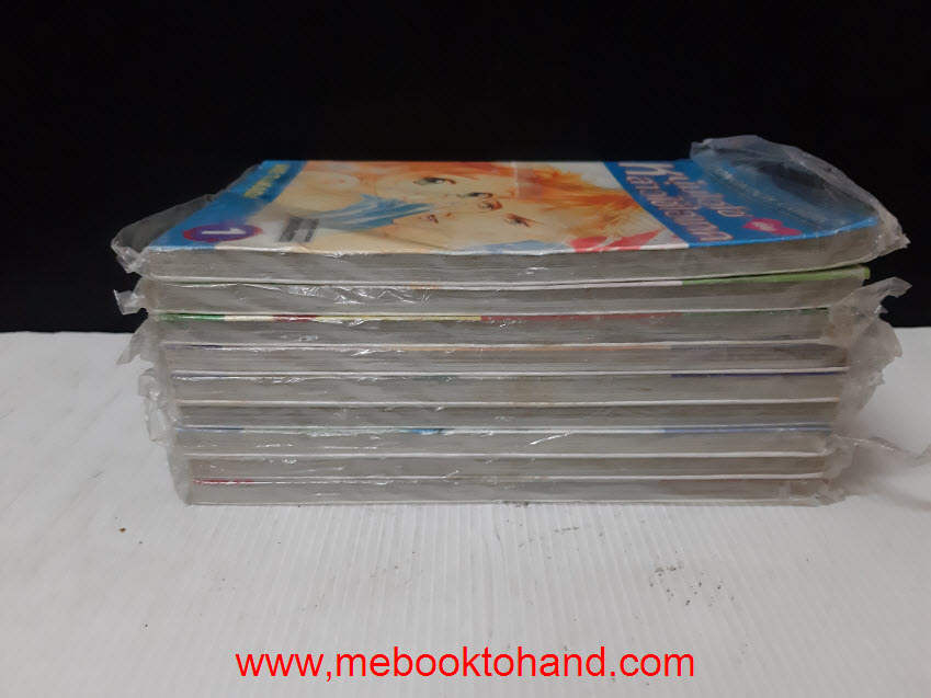 หนุ่มไฮโซกับสาวใช้ไฮเทค 1-9 จบ