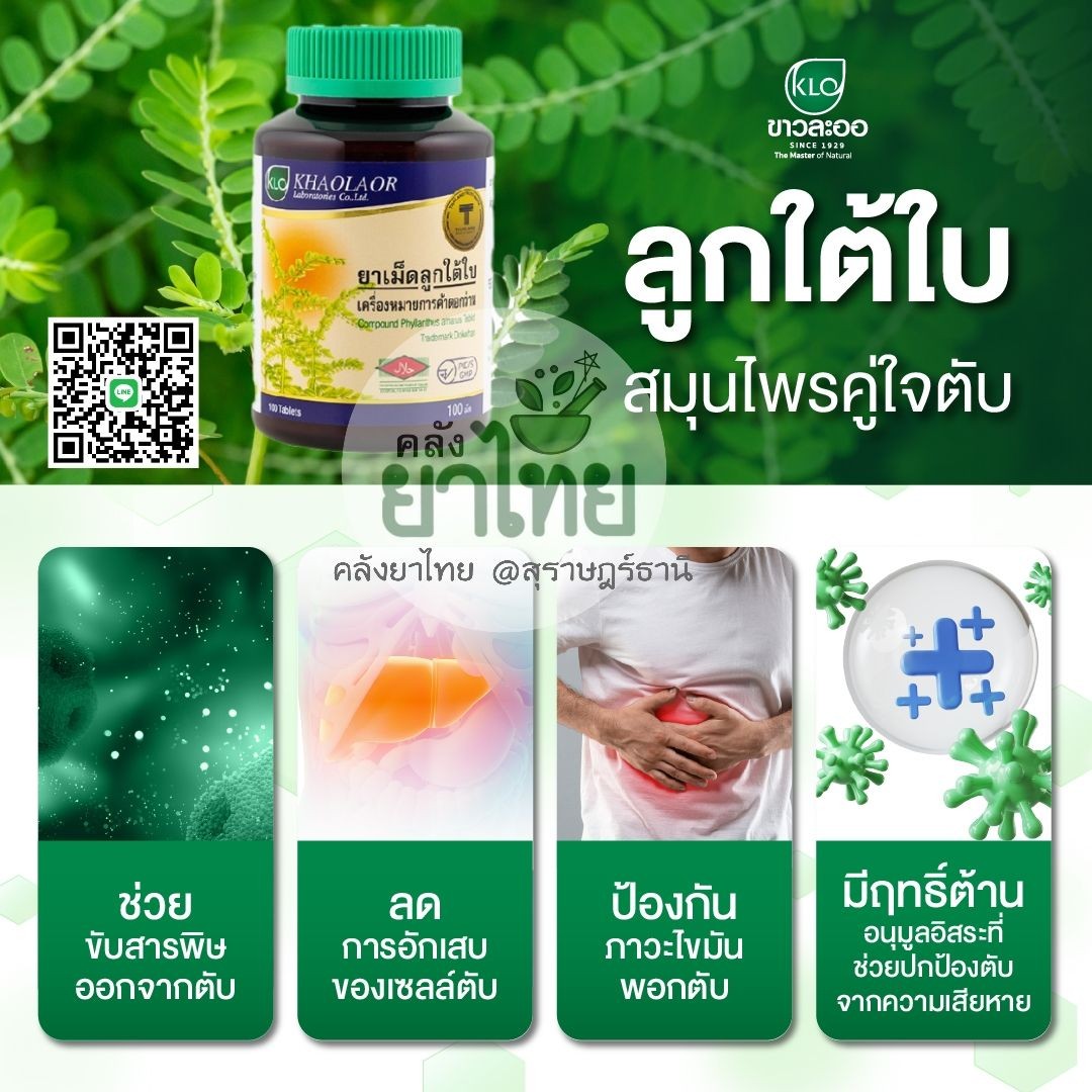 ยาเม็ดลูกใต้ใบ จัดการตับอักเสบ