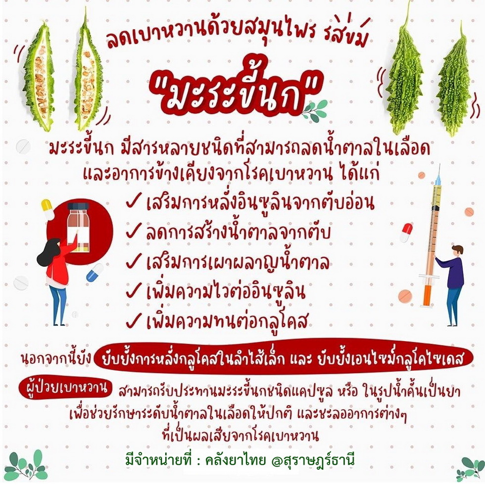 ยามะระขี้นก 100 เม็ด