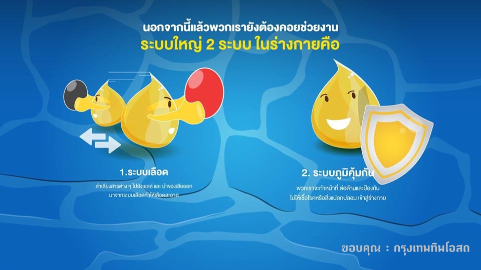 ยาแก้น้ำเหลืองเสีย