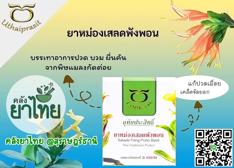 ยาหม่องเสลดพังพอน(กระปุกใหญ่) 60 g.