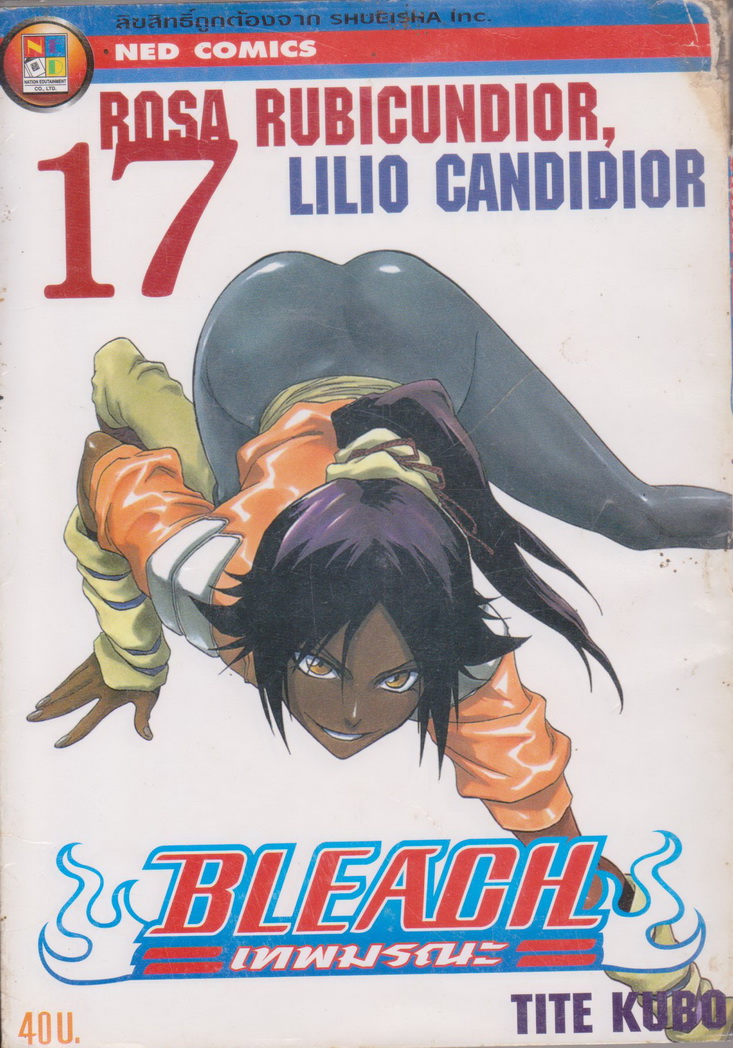 หนังสือการ์ตูน BLEACH เทพมรณะ เล่ม 1-31 (ขายยกชุด) ผู้เขียน TITE KUBO