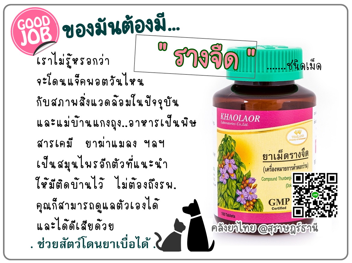 รางจืดชนิดเม็ด ใช้ได้ทั้งคนและสัตว์