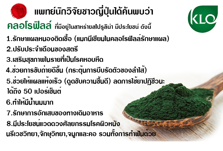 สไปรูลิน่าบริสุทธิ์300แคปซูล เพิ่มภูมิสุนัขและแมว ดูแลอาการทางผิวหนัง ขนร่วง ฟื้นตัวจากป่วย ป้องกันโรคร้าย บำรุงร่างกาย