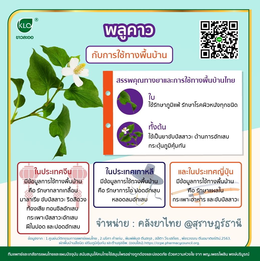 พลูคาวสกัดแคปซูล