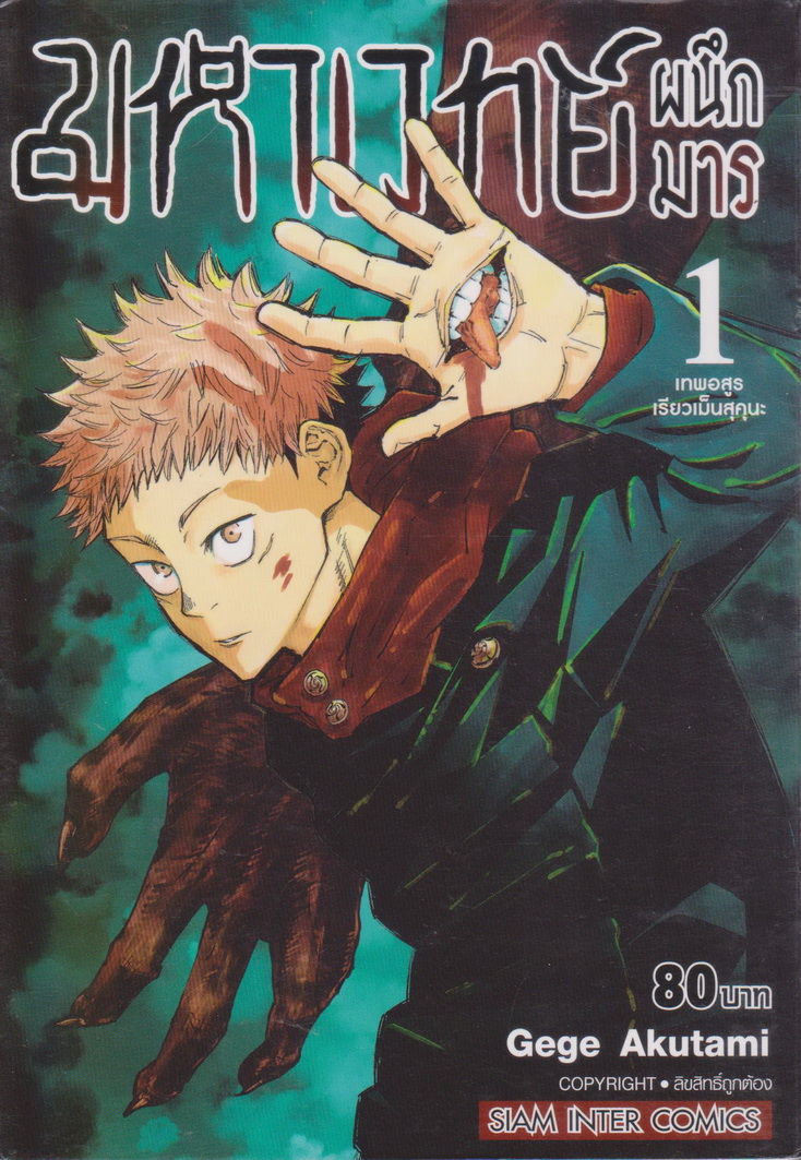การ์ตูน มหาเวทย์ผนึกมาร เล่ม 1-15 (ยังไม่จบ) ขายยกชุด ผู้เขียน Gege Akutami
