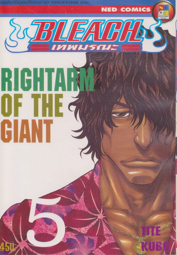 หนังสือการ์ตูน BLEACH เทพมรณะ เล่ม 1-31 (ขายยกชุด) ผู้เขียน TITE KUBO