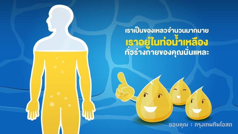 ยาแก้น้ำเหลืองเสีย