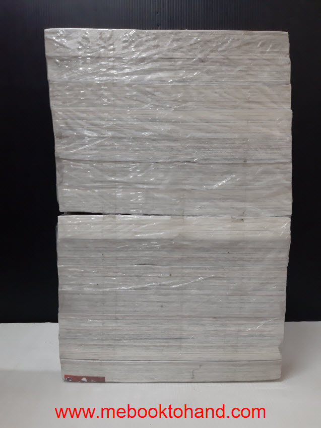 ฤทธิ์หมัดดาวเหนือ 1-14 จบ