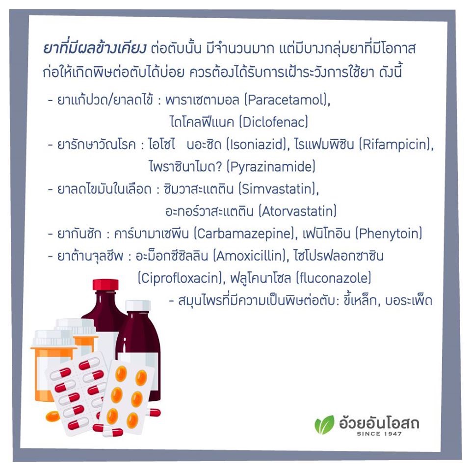 อาร์ทิโชกArtichoke