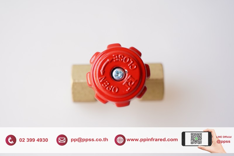Needle Valve for Gas 1/4" l วาล์วเข็มปรับละเอียดขนาด 1/4"