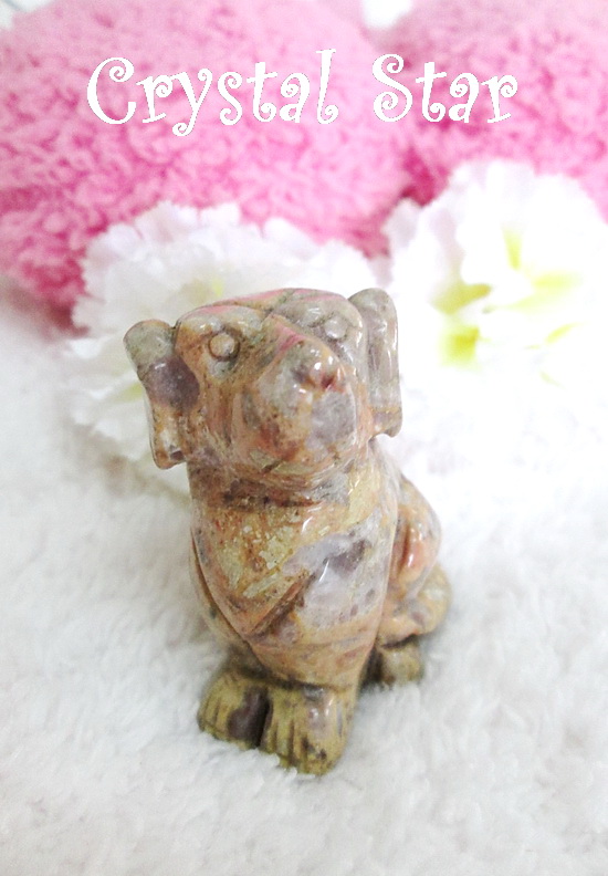 Jasper แกะเป็นรูปสุนัข