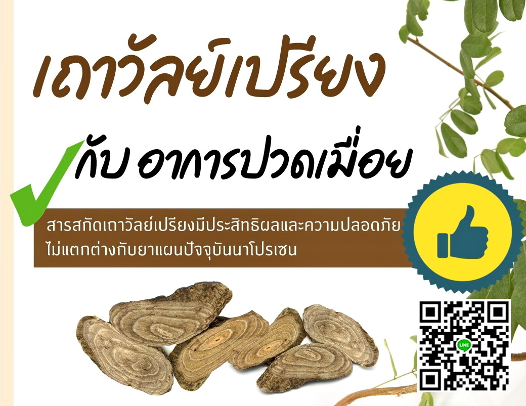 เถาวัลย์เปรียงสกัด