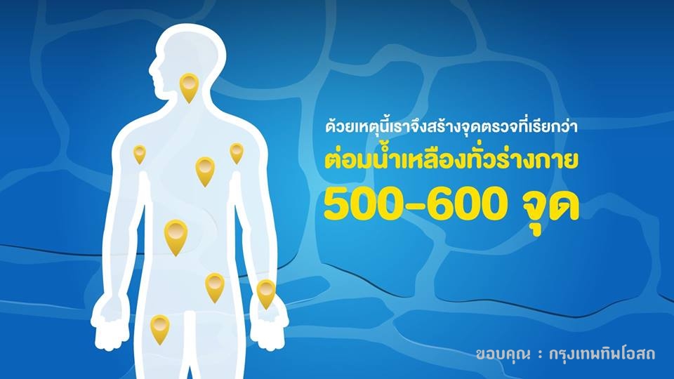 ยาแก้น้ำเหลืองเสีย