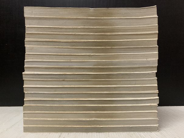 Salad Days สลัดเดย์ 1-18 จบ