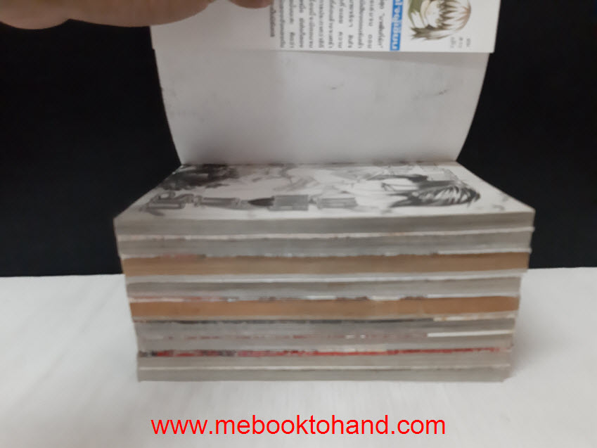 มาเฟียที่รัก 1-9 จบ / Shinjo Mayu