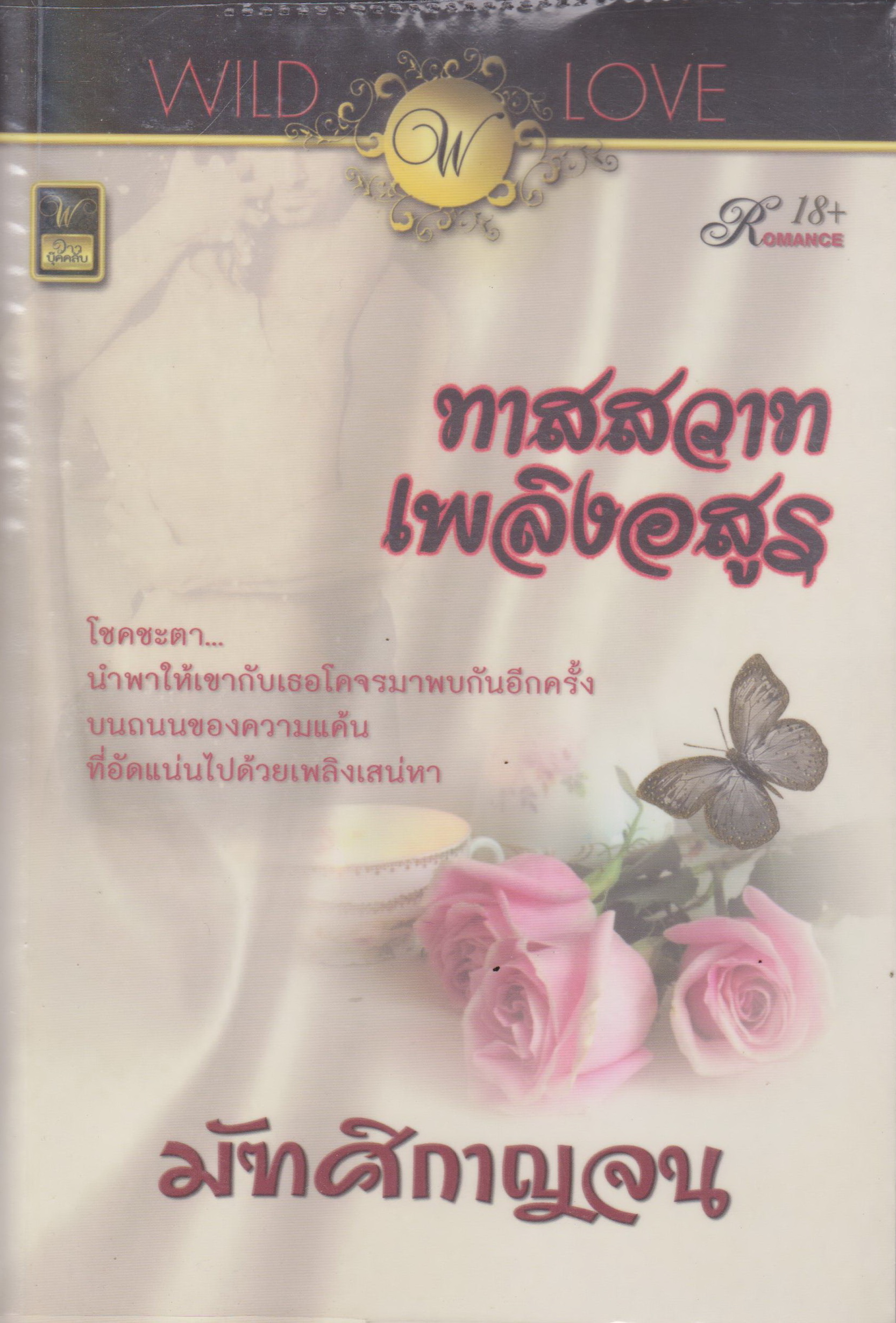 นิยาย ทาสสวาท เพลิงอสูร ผู้เขียน มัฑศิกาญจน