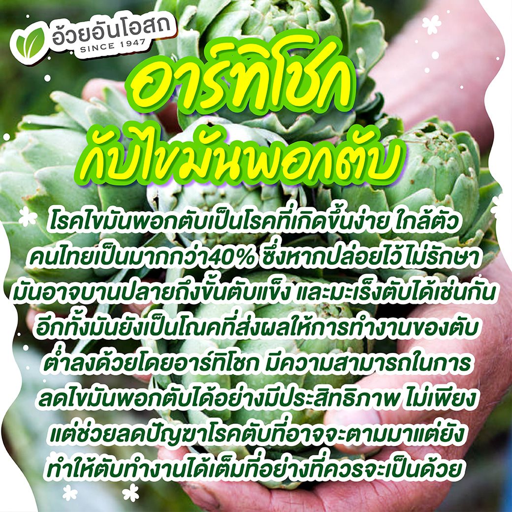 อาร์ทิโชกArtichoke